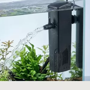How an aquarium filter works and cleans aquarium water