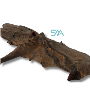 Indian Bog Wood natural driftwood for aquarium aquascaping