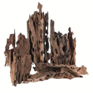 SHRIMP DRIFT WOOD
