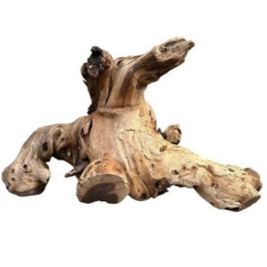 STUMP DRIFT WOOD