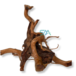 Pin Root Driftwood aquascape decor for planted aquarium and fish tank decoration