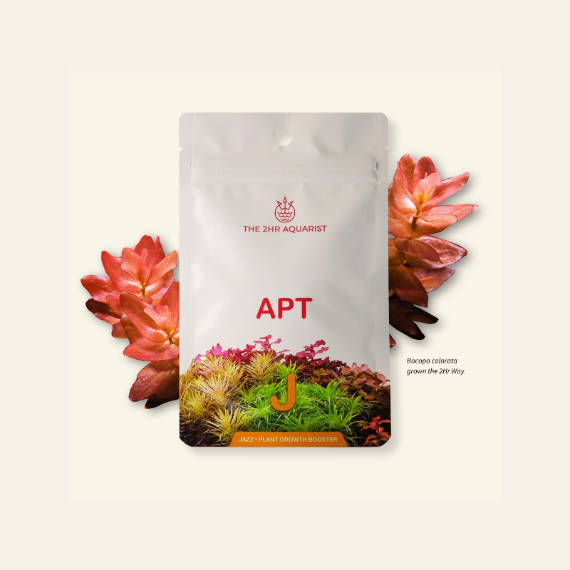 APT Jazz root tablets