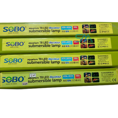 Seachem MetroPlex aquarium fish treatment product