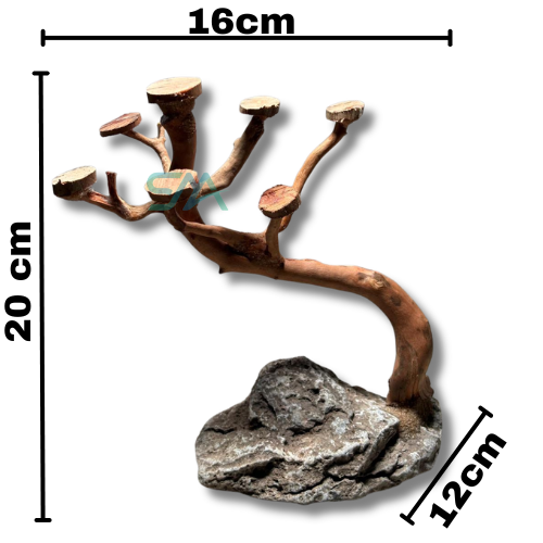 SMA Customized Bonsai Driftwood Rock Decor/SMA001 aquarium product image