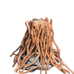 SMA Customized Bonsai Driftwood Tree and Stone Base Aquascaping Centerpiece SMA014