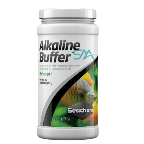 Bacopa Salzmannii ADA Tissue Culture for planted aquarium