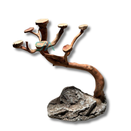 SMA Customized Bonsai Driftwood Rock Aquarium Decor SMA001