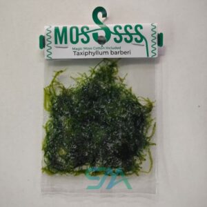 Java Moss ADA Tissue Culture for planted aquarium