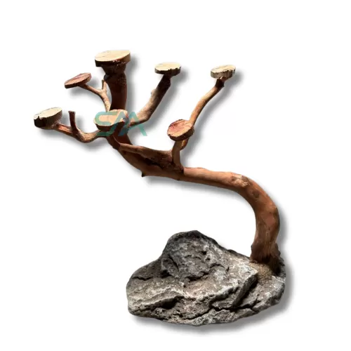 Customized Bonsai Driftwood Rock Decor