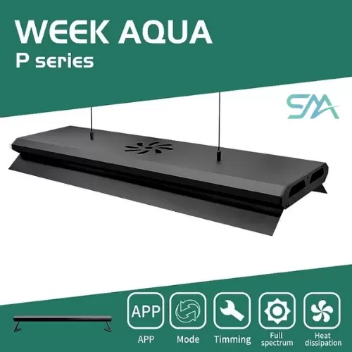Week Aqua P Pro WRGB LED Light with App Control
