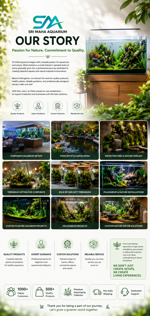 Aquarium and aquascaping products at Sri Maha Aquarium