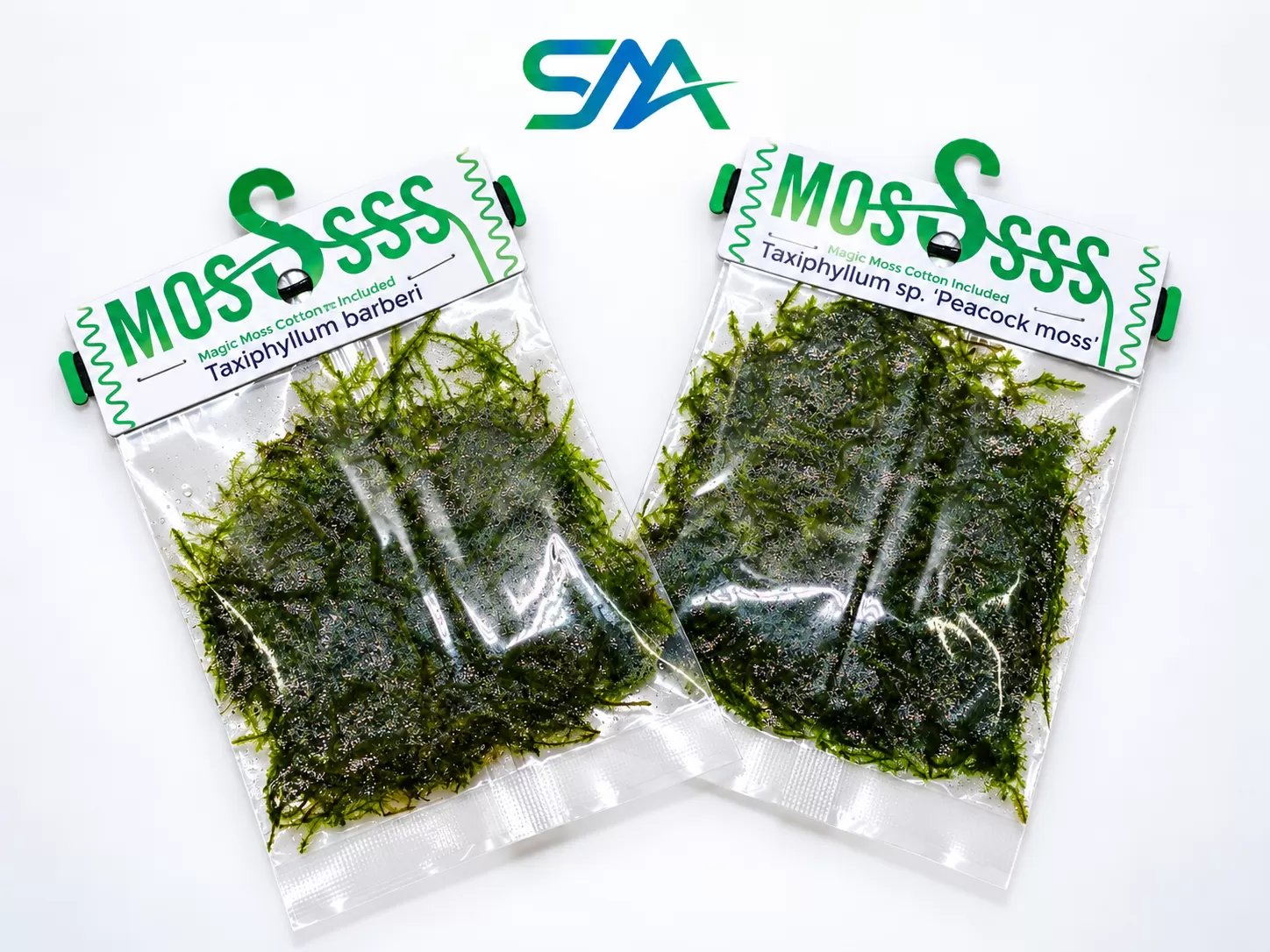 moss for aquarium